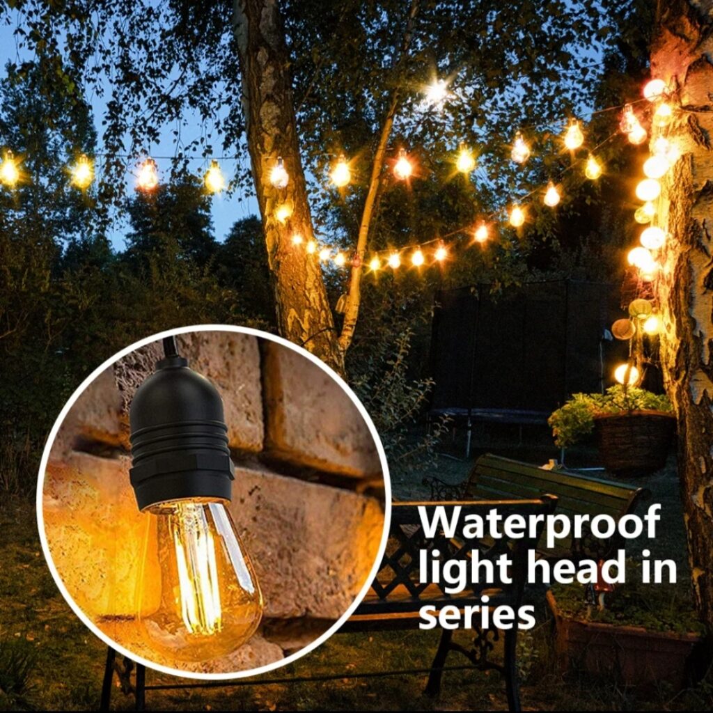 IMG_20240919_163525 (1)